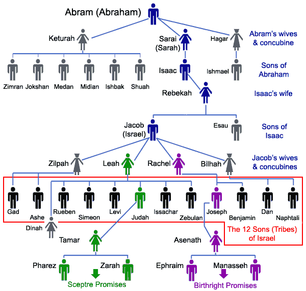 Abraham S Family Tree Chart